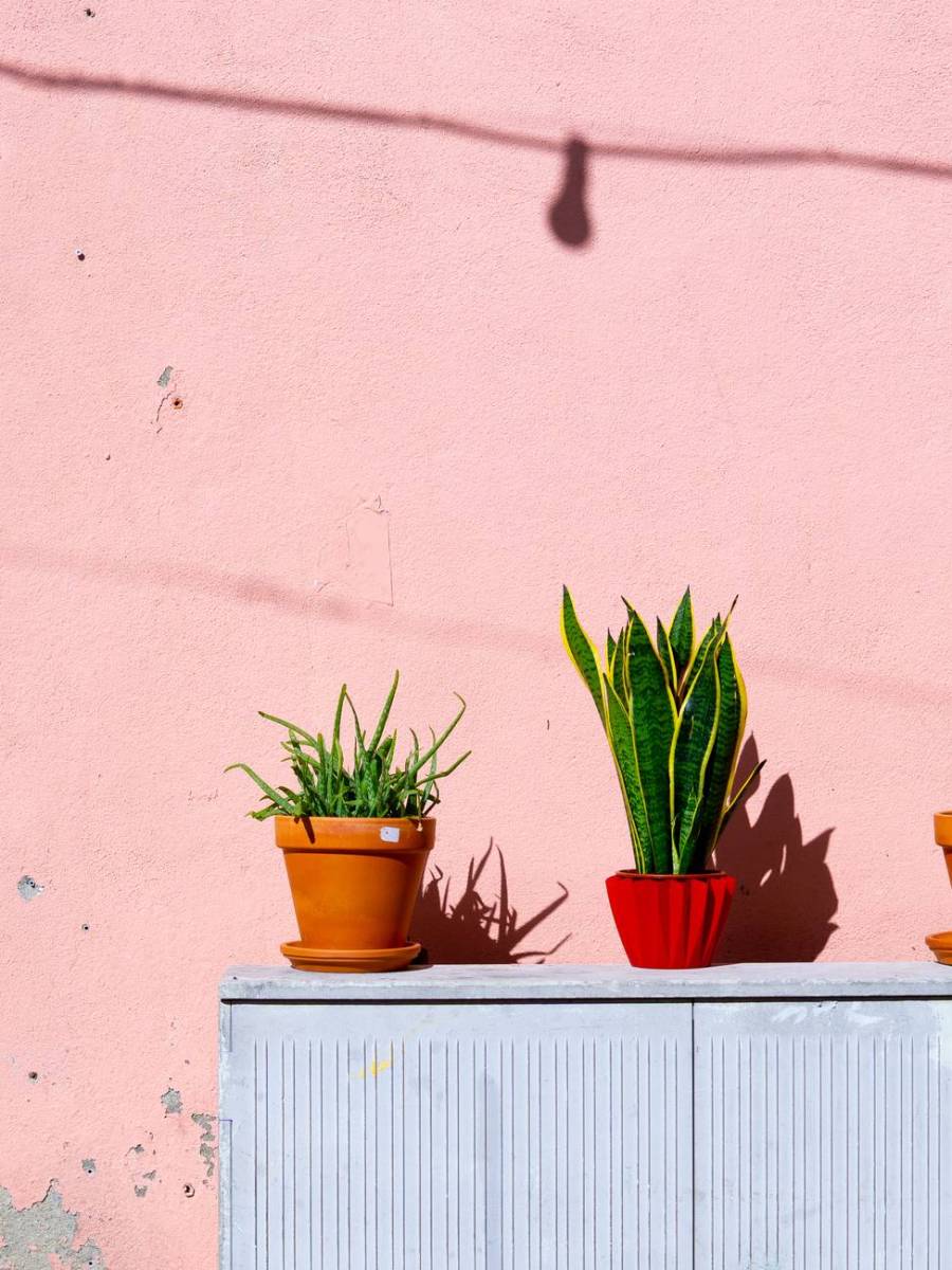 6 Inspiring Lessons From The Life Story Of Anas Bin Malik (May Allah Be Pleased With Him)